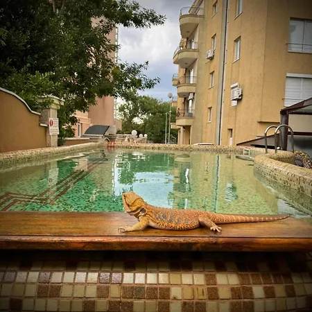 Πανσιόν юг Πριμόρσκο